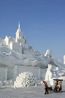 Images Dated 2nd February 2008: Dog sled ride at the Snow and Ice Sculpture Festival at Sun Island Park
