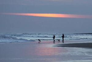 Northumberland Prints: Dog walkers in silhouette on Bamburgh Beach at sunrise, Bamburgh, Northumberland