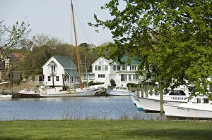 Images Dated 30th January 2000: Dogwood Harbour
