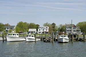 Dogwood Harbour