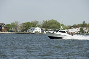 Dogwood Harbour