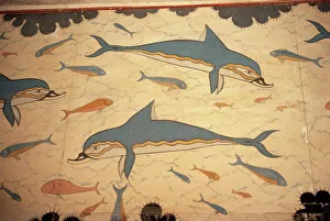 Crete Prints: Dolphin fresco