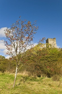 Snowdonia Prints: Dolwyddelan Castle, Dolwyddelan, nr Betws y Coed, Snowdonia National Park