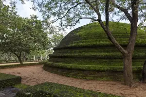 Overgrown Prints: A dome shaped structure in the Kiri Vihara Buddhist temple ruins