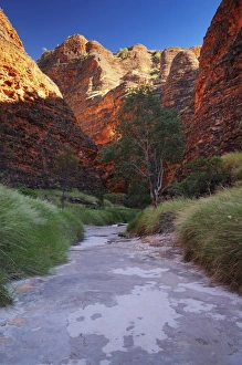 Images Dated 5th May 2008: The Domes, Bungle Bungle, Purnululu National Park, UNESCO World Heritage Site