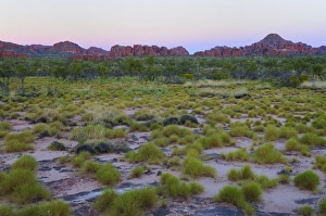 Images Dated 5th May 2008: The Domes, Bungle Bungle, Purnululu National Park, UNESCO World Heritage Site