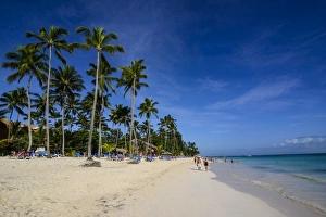 Bavaro Prints: Dominican Republic
