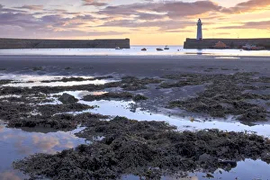 Port Prints: Donaghadee Harbour, County Down, Ulster, Northern Ireland, United Kingdom, Europe