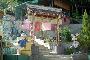 Gateway Prints: Donald Duck and Micky Mouse are unusual decorations