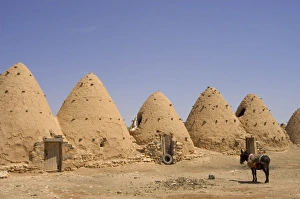 Single Storey Prints: Donkey beside beehive houses built of brick and mud