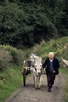 Images Dated 7th August 2008: Donkey cart
