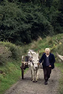 Images Dated 7th August 2008: Donkey cart