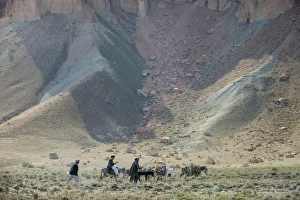 Farmer Prints: Donkeys and farmers make their way home near Band-e Amir, Afghanistan, Asia