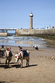 Working Animals Prints: Donkeys on Whitby Sands, Whitby