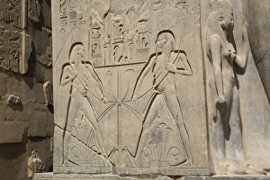 Ramses Ii Prints: Double image relief of Ramses II, Luxor Temple, Luxor, Thebes, UNESCO World Heritage Site