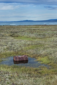 Doubtful Village, Wrangel Island, UNESCO World Heritage Site, Chuckchi Sea, Chukotka, Russian Far East, Russia, Eurasia