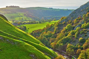Lush Prints: Dovedale, Peak District National Park, Derbyshire, England