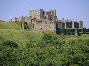 Shrub Prints: Dover Castle, Dover, Kent, England, UK, Europe