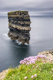 Typically Irish Prints: Downpatrick Head with flowers in the foreground