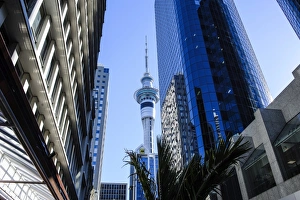 Auckland Prints: Downtown Auckland with its high rise buildings