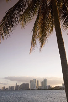 Images Dated 28th January 2008: Downtown Miami skyline, Miami, Florida, United States of America, North America