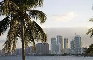 Images Dated 28th January 2008: Downtown Miami skyline, Miami, Florida, United States of America, North America