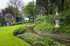 Firenze Prints: Dragon Fountain, Giardino Bardini