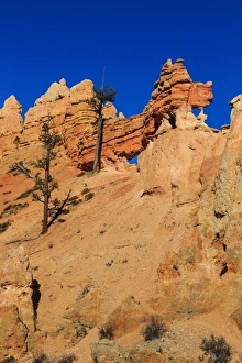 Hoodoo Prints: Dragon-shaped rock lit by late afternoon sun