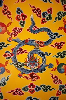 Images Dated 25th July 2007: Dragon wall painting, Kopan monastery, Kathmandu, Nepal, Asia