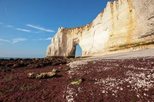 Etretat Prints: Dramatic coastal scene shows Manneporte sea arch