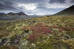 Snaefellsnes Peninsula Gallery: Dramatic frozen landscape, Snaefellsnes Peninsula, Iceland, Polar Regions