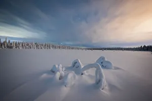 Dramatic night sky over the snowcapped forest and frozen trees, Iso Syote, Lapland, Finland, Europe
