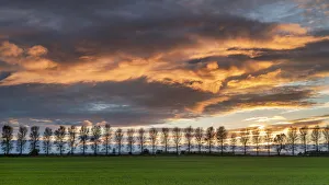 Tree Lined Prints: A dramatic panoramic red sky sunset over North Yorkshire