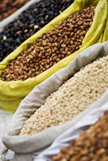 Bags Prints: Dried beans for sale, Xining, Qinghai, China, Asia
