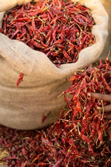 Dried Prints: Dried chillies, Sri Lanka, Asia