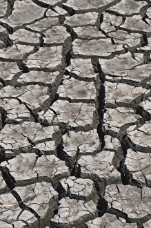 Guanajuato State Prints: Dried lake bed near San Miguel, Guanajuato State, Mexico, North America