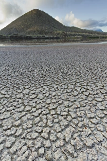 Rough Prints: Dried mud flats, Cormorant Point