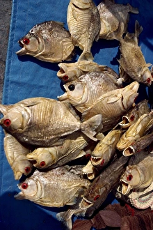 Sea Food Prints: Dried piranha fish for sale in Santarem in Brazil, South America