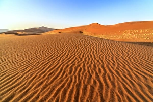Barren Prints: Dried plants among the sand dunes shaped by wind, Deadvlei, Sossusvlei, Namib Desert