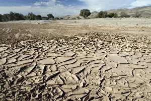 Images Dated 21st December 2008: Dried river bed, Kaokoland, Namibia, Africa