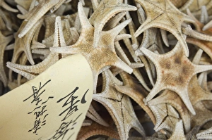 Dried starfish for sale in seafood shop