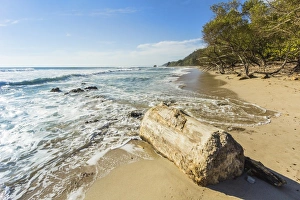 Nicoya Peninsula Prints: Driftwood on this beautiful surf beach near Mal Pais, far south of Nicoya Peninsula