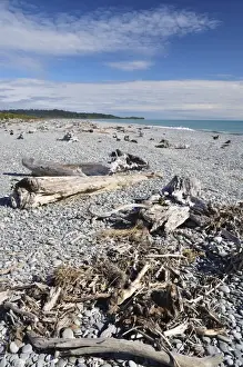 Pebbles Prints: Driftwood, Gillespies Beach, Westland Tai Poutini National Park