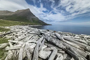 Icelandic Culture Prints: Driftwood from Siberia, Strandir Coast, Westfjords, Iceland, Polar Regions