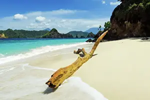 Driftwood on white sand beach at beautiful Mahoro Island with Masare and Pahepa Islands beyond, Mahoro, Siau, Sangihe Archipelago, North Sulawesi, Indonesia, Southeast Asia, Asia