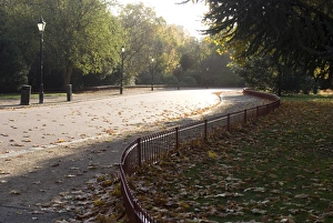 Images Dated 7th November 2009: Drive through Battersea Park, London, England, United Kingdom, Europe