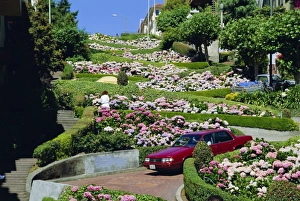 Cosmopolitan Prints: Driving down Lombard Street