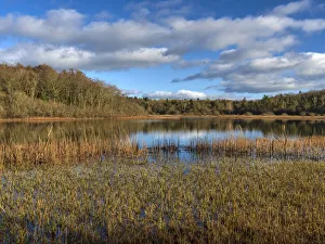 County Clare Prints: Dromore Lough, County Clare, Munster, Republic of Ireland, Europe