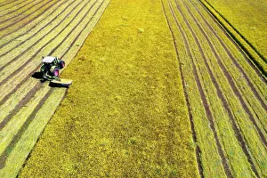 Tractor Prints: Drone shot of tractor with mower mowing grasses on agricultural field during a summer day