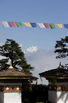 Druk Wangyal Chorten, Bhutan, Asia